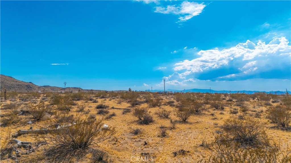 MLS #JT25139661 image #21