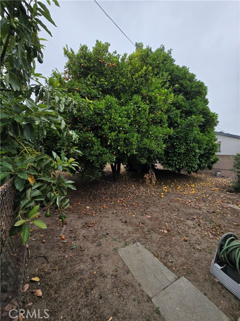 741 Val Street, Arcadia CA: https://media.crmls.org/medias/1c6683ec-1fc1-4b44-a00b-4748af6d5595.jpg