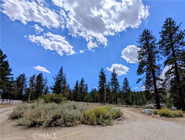 1575 Petersen Lane, Frazier Park CA: https://media.crmls.org/medias/1c68914c-836c-4f8d-8624-a7937361758f.jpg