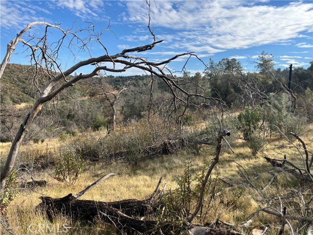 Detail Gallery Image 7 of 69 For 4934 Guadalupe Fire, Catheys Valley,  CA 95306 - – Beds | – Baths