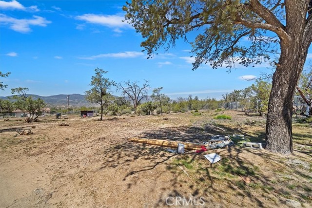 Detail Gallery Image 8 of 30 For 63285 Pinyon Dr, Mountain Center,  CA 92561 - 3 Beds | 2 Baths