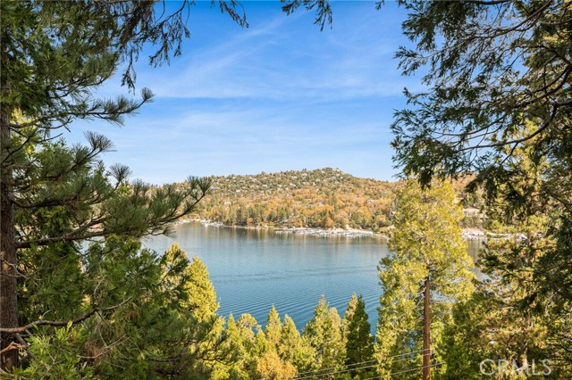 Front Image Thumbnail for CRIG25094144