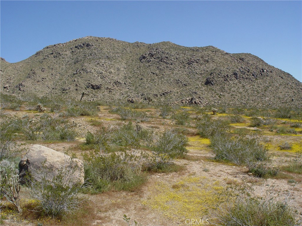 MLS #HD26154562 image #14
