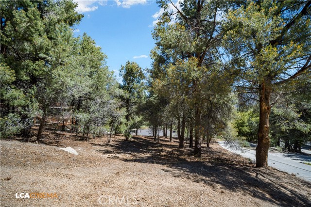 2212 Tirol Drive, Pine Mountain Club CA: https://media.crmls.org/medias/1c81789e-9754-467d-93bb-b96164f8767f.jpg