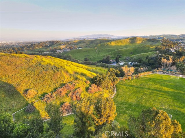 Detail Gallery Image 63 of 73 For 2481 Hawkwood Dr, Chino Hills,  CA 91709 - 5 Beds | 3 Baths