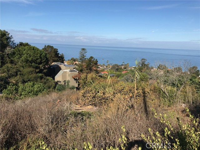0 Hillside Drive, La Jolla CA: https://media.crmls.org/medias/1c839b75-a0b1-4128-81d7-d4b6af2274af.jpg