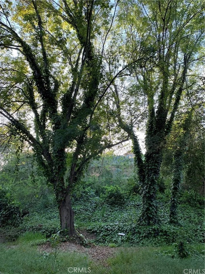 1c8904ed 06dd 46a9 8e6c 03c8f91bfe77