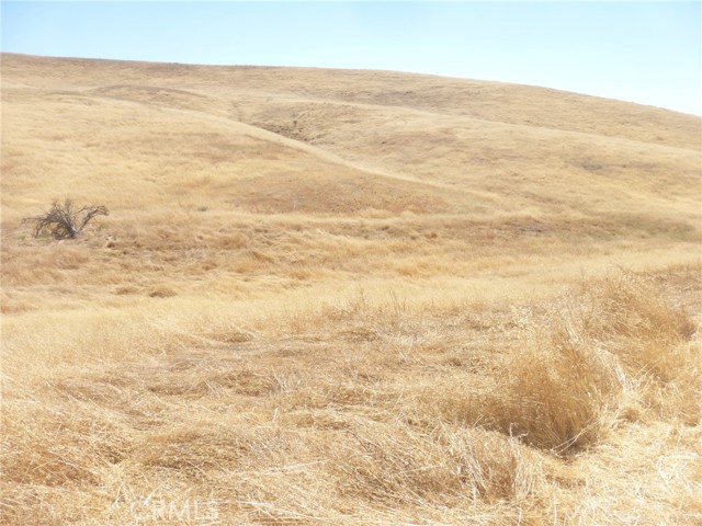 Detail Gallery Image 4 of 15 For 0 Douglas Rd. (Lot 43), San Miguel,  CA 93451 - – Beds | – Baths