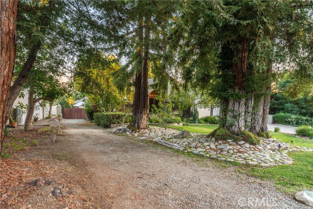 Detail Gallery Image 5 of 71 For 2420 San Antonio, Upland,  CA 91784 - 4 Beds | 3 Baths