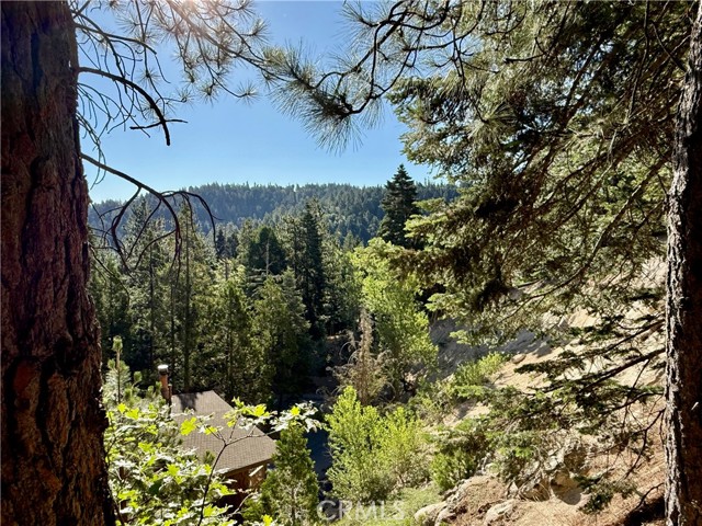 Detail Gallery Image 27 of 29 For 872 Sierra Vista #30,  Twin Peaks,  CA 92391 - 3 Beds | 2 Baths