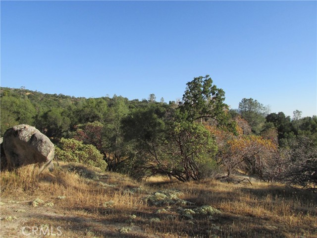 Detail Gallery Image 15 of 54 For 2 Ac Old Oaks Ct, North Fork,  CA 93643 - – Beds | – Baths