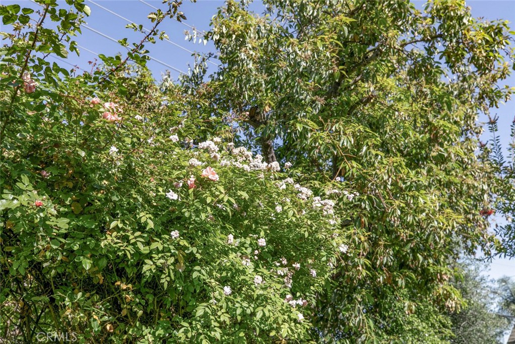 https://media.crmls.org/medias/1c9b3fb3-2293-4a27-a7ff-16bc807966ed.jpg?preset=X-Large