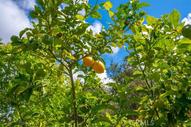 Detail Gallery Image 4 of 43 For 639 Barberry Way, Nipomo,  CA 93444 - 2 Beds | 2 Baths
