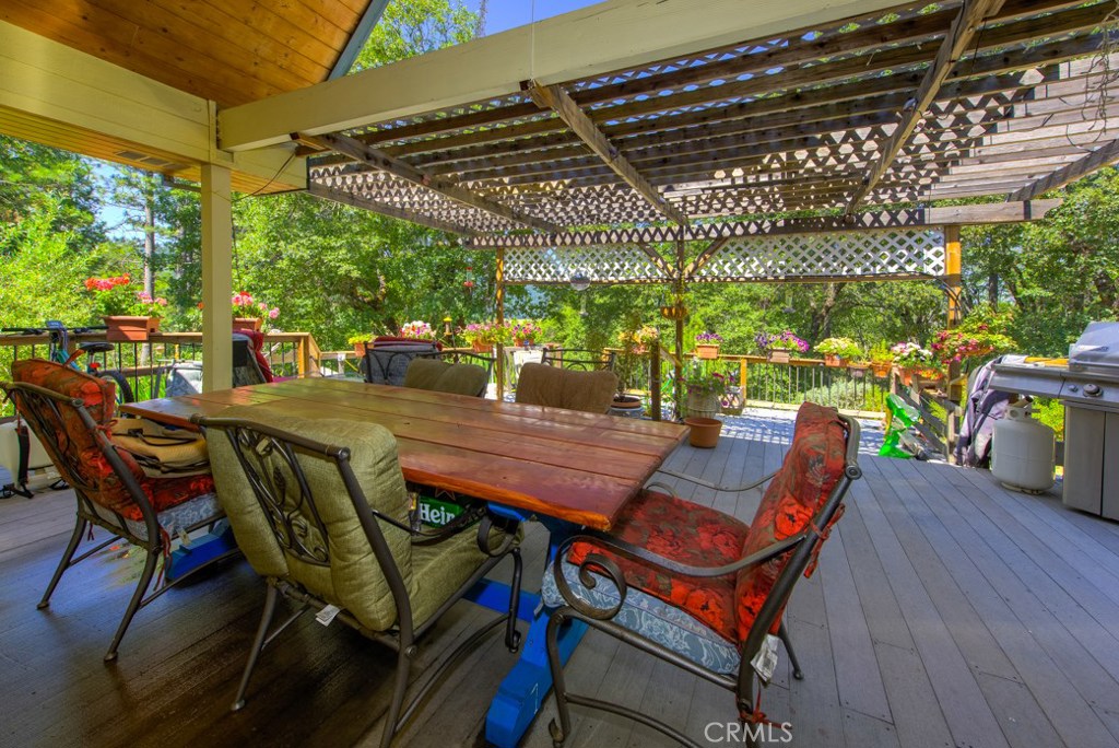 10230 Salmina Road Kelseyville CA 95451