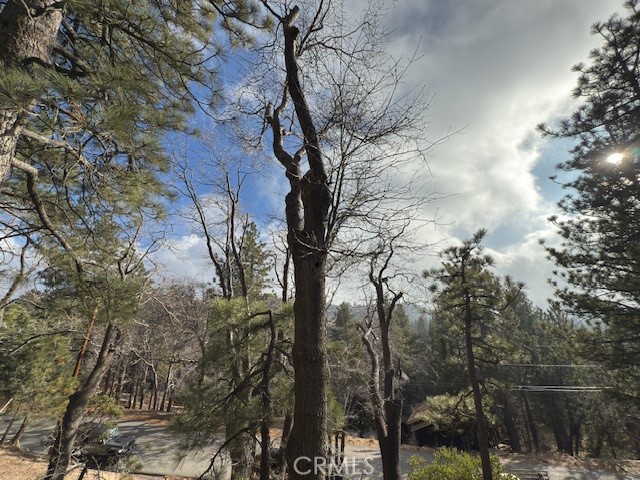 Detail Gallery Image 26 of 28 For 33058 Juniper Ln, Green Valley Lake,  CA 92341 - 2 Beds | 1 Baths