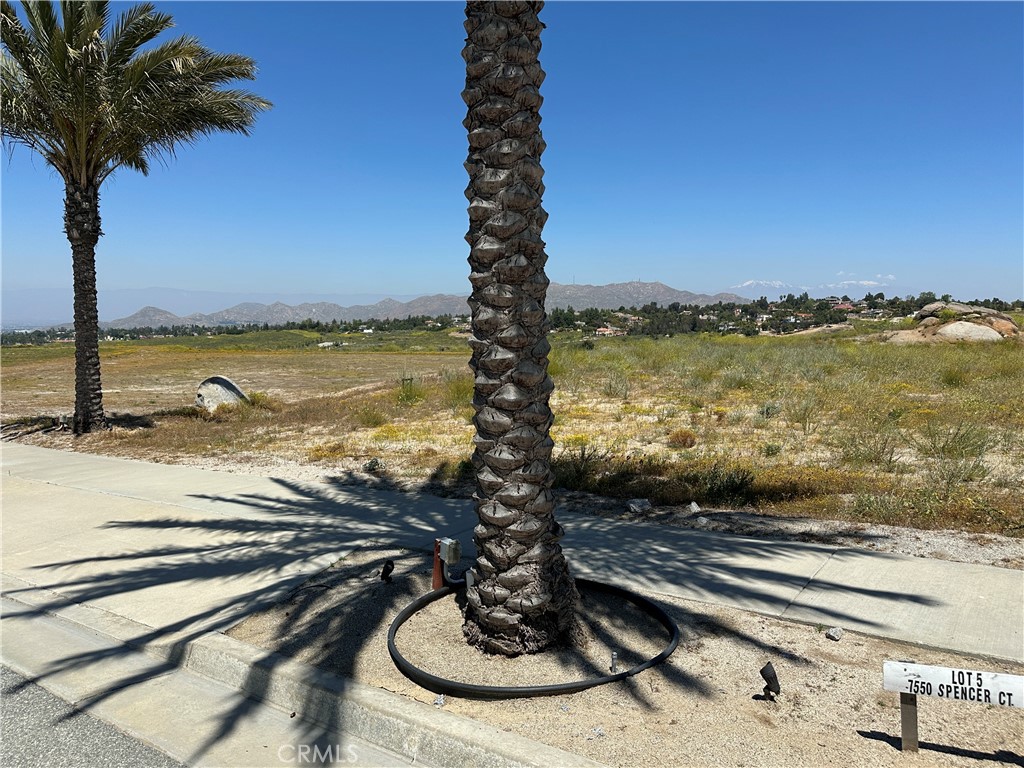 MLS #TR25266572 image #3