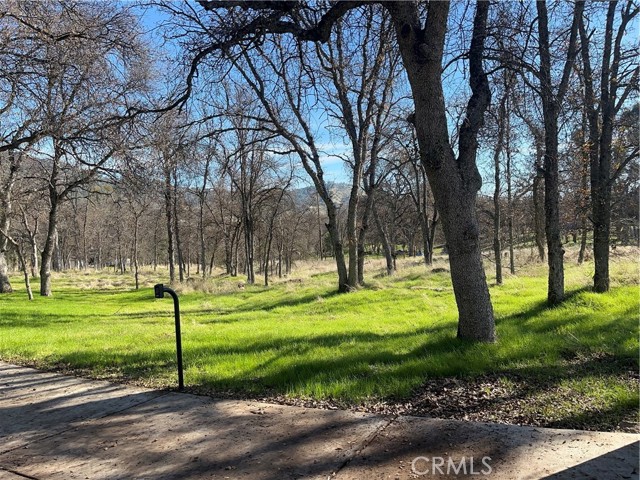 29503 Spence Lane, Tollhouse CA: https://media.crmls.org/medias/1cae1683-61ad-472a-970a-f2ed879c64f8.jpg