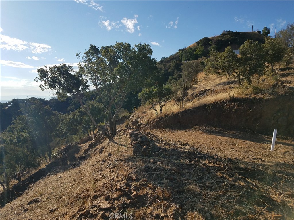 MLS #OC25102015 img 4