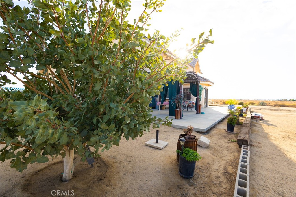 MLS #CV25233288 image #21