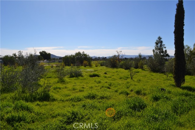 Image 9 of 38 For 29580 Patelli Way