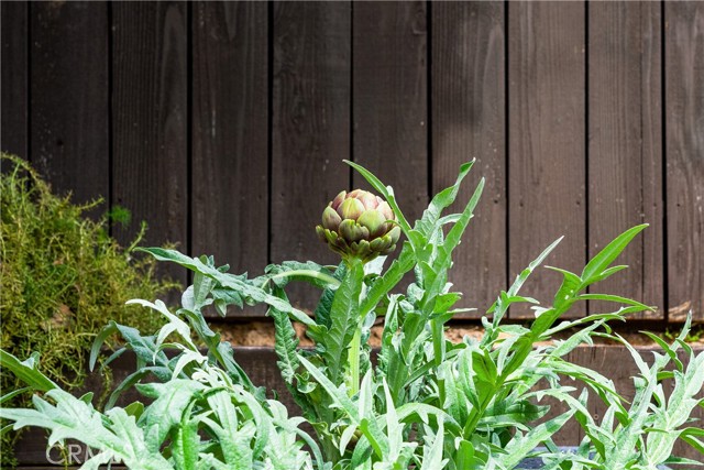 Image 32 of 34 For 19971 Fernglen