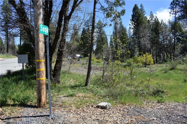 Detail Gallery Image 9 of 17 For 6 Sugar Pine, Berry Creek,  CA 95916 - – Beds | – Baths