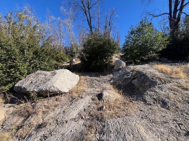 80 Oak Drive, Berry Creek CA: https://media.crmls.org/medias/1cbcfd1f-1e21-4d74-b8b1-6c13cf9615ad.jpg