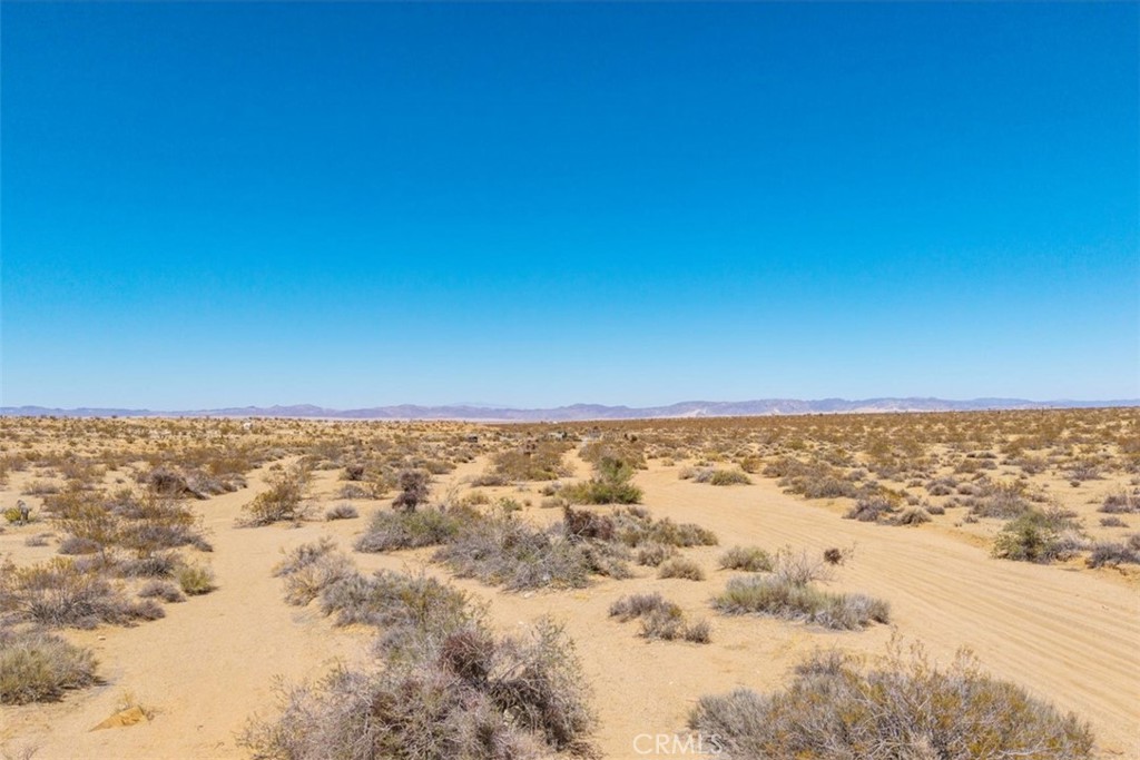 MLS #JT25173166 image #15