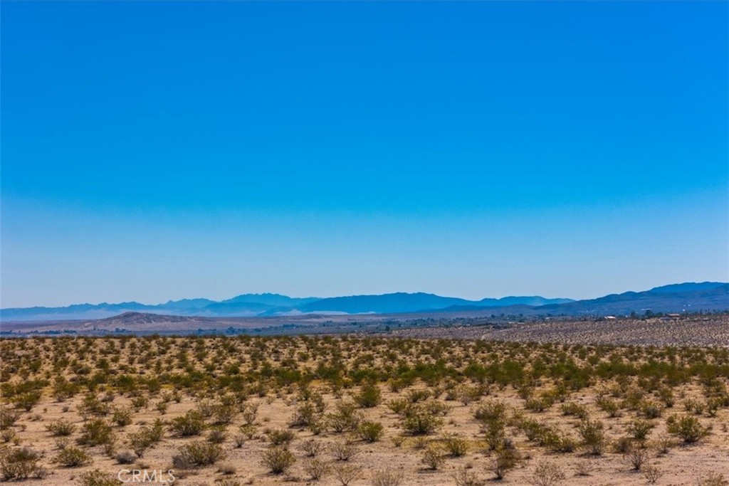 MLS #JT25225678 image #15