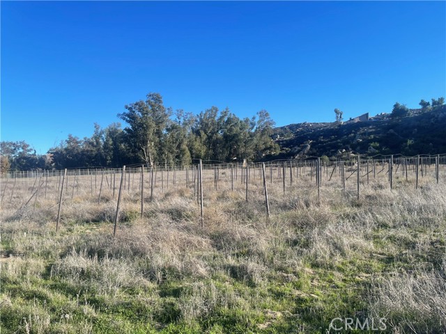 Detail Gallery Image 20 of 38 For 0 Cornell St, Hemet,  CA 92544 - – Beds | – Baths