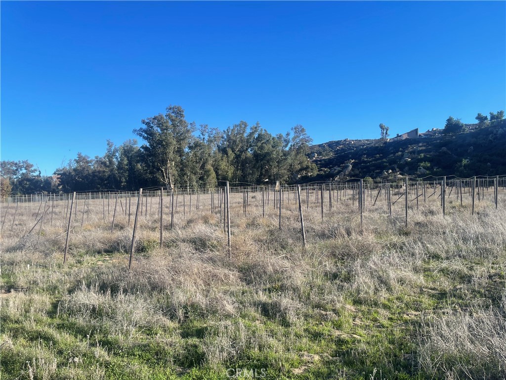 MLS #WS25276306 image #21