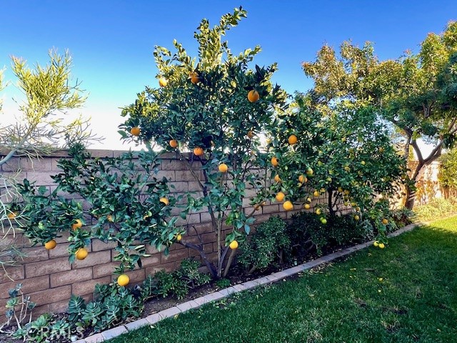Detail Gallery Image 53 of 62 For 879 Derby, Corona,  CA 92882 - 4 Beds | 3/1 Baths