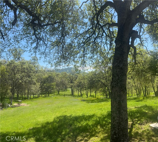 29503 Spence Lane, Tollhouse CA: https://media.crmls.org/medias/1ccd746c-86eb-48b7-b5b2-5e264bfefba2.jpg