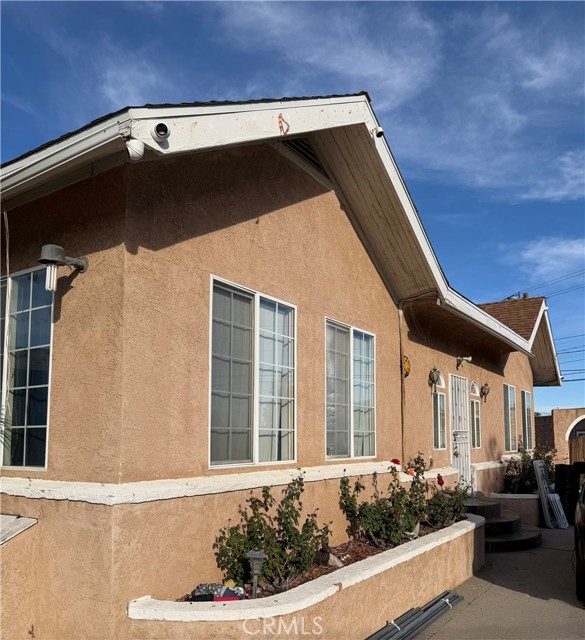 Front Image Thumbnail for CRDW26071497