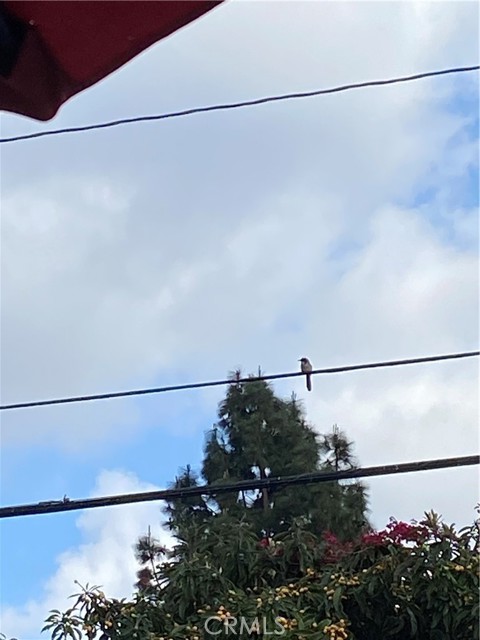 937 E Santa Ana Boulevard, Santa Ana CA: https://media.crmls.org/medias/1ccfe7b8-a3b0-4c58-bc64-5bf42140399b.jpg
