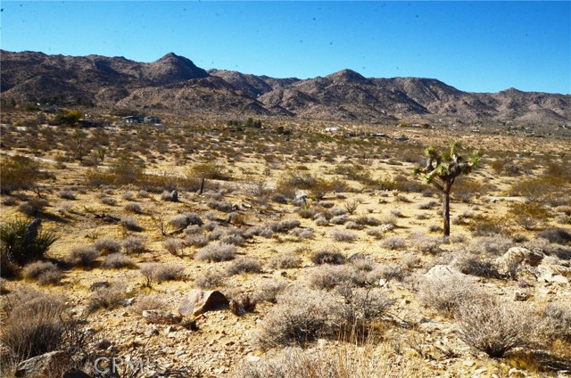 Detail Gallery Image 4 of 11 For 8675 Tortuga Trl, Joshua Tree,  CA 92252 - – Beds | – Baths