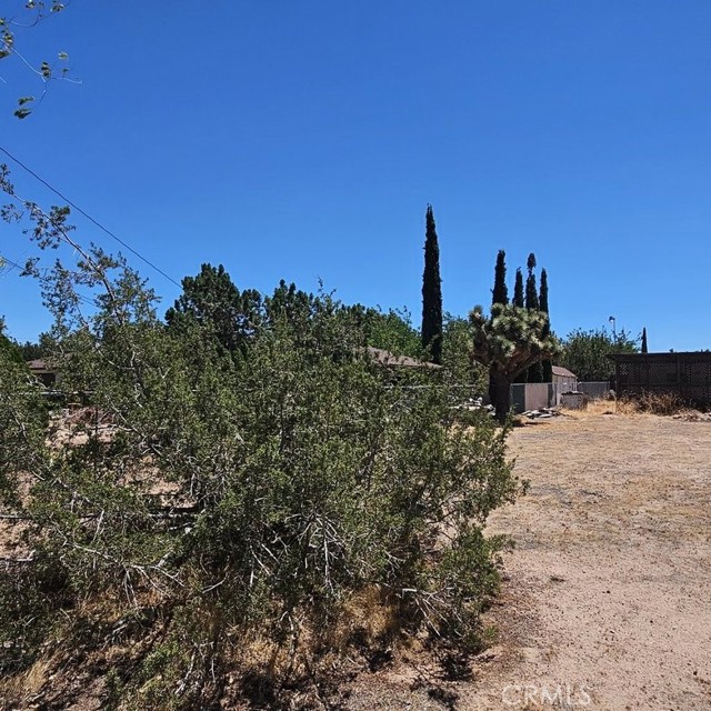 15921 Sultana Street, Hesperia CA: https://media.crmls.org/medias/1ce01ce2-c545-44ce-bb6d-d1da561ad9b3.jpg
