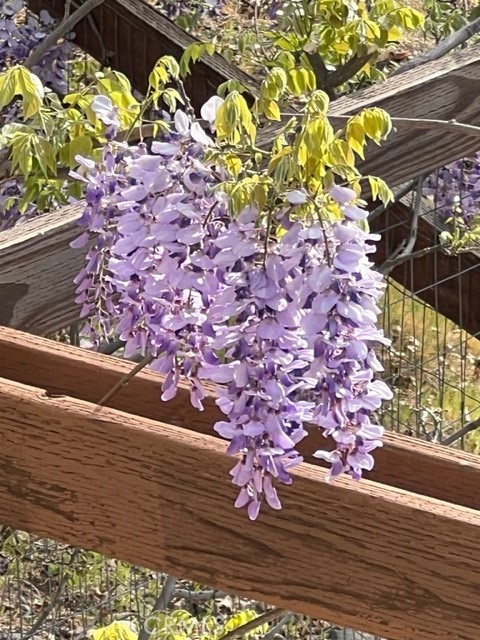 Detail Gallery Image 44 of 59 For 9591 Lassen Dr, Cobb,  CA 95426 - 3 Beds | 2 Baths