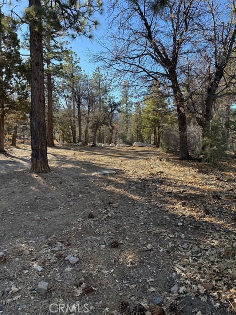 Detail Gallery Image 6 of 6 For 0 San Bernardino, Sugarloaf,  CA 92386 - – Beds | – Baths