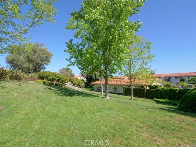 Community Grassy Area