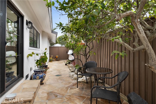 Side yard by kitchen with Citrus Trees