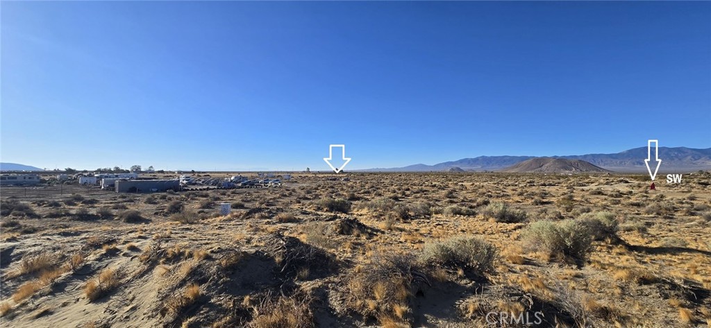 MLS #DW24154757 image #5