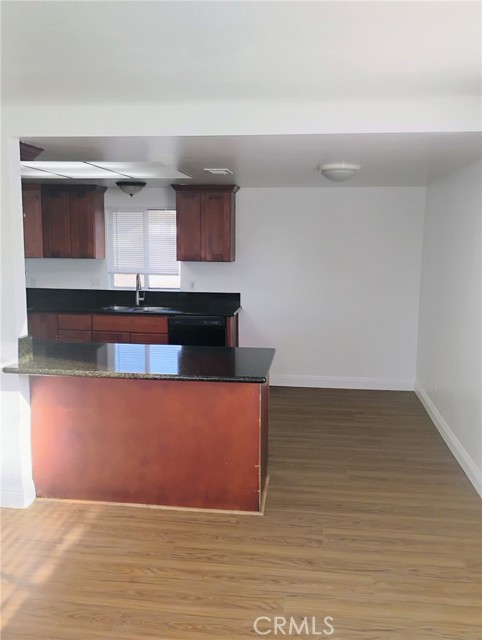 Image 1 of 9 For 21862 Dracaea