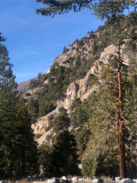 Detail Gallery Image 26 of 31 For 9112 Torrey Pines Rd, Forest Falls,  CA 92339 - 2 Beds | 2/1 Baths