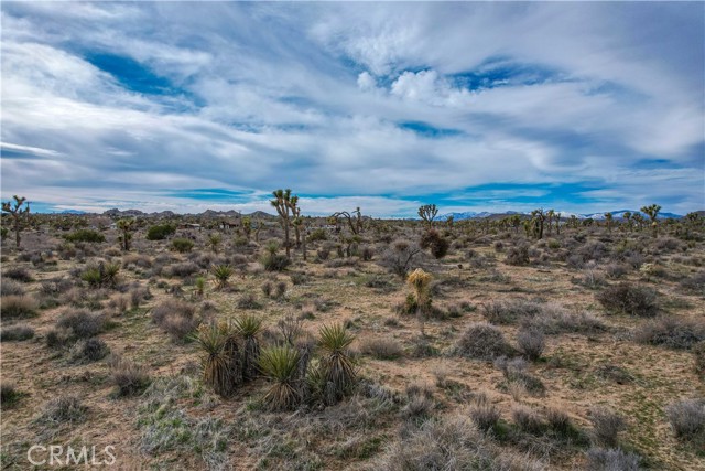 Detail Gallery Image 13 of 32 For 4824 Elata Ave, Yucca Valley,  CA 92284 - – Beds | – Baths
