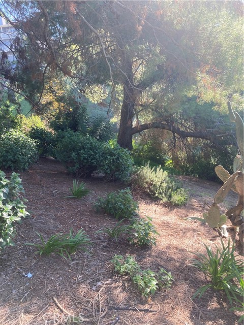 Detail Gallery Image 30 of 37 For 3633 Lavell Dr, Los Angeles,  CA 90065 - 1 Beds | 1 Baths