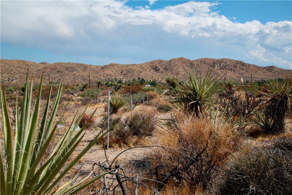 MLS #RS25195860 image #13