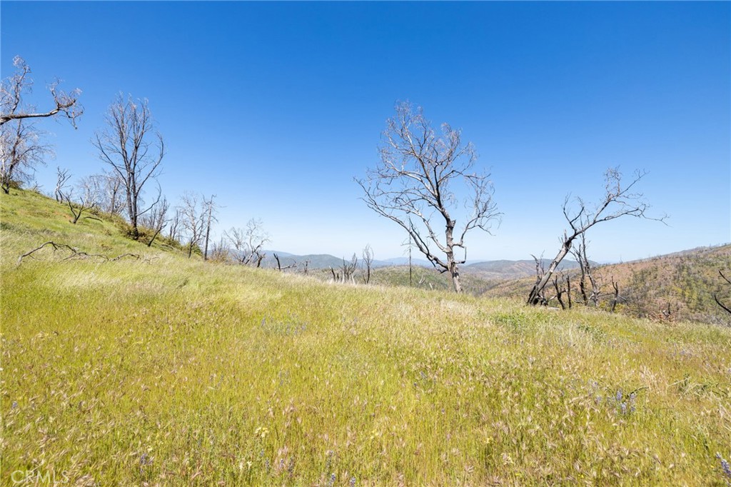 MLS #MP25088475 image #49