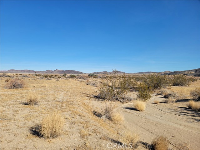 Detail Gallery Image 14 of 25 For 0 Fran Lou Ln, Joshua Tree,  CA 92252 - – Beds | – Baths