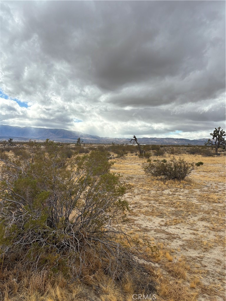 MLS #SR25028303 img 4